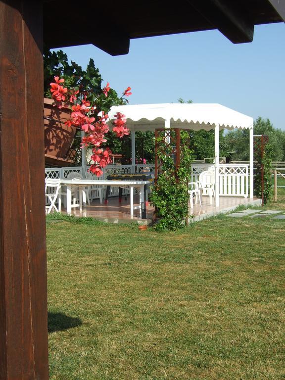 Agriturismo La Casa Della Lavanda - Il Rustico Marina di Montemarciano Exterior photo